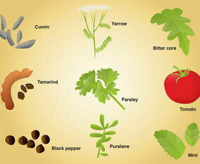 Set of Different Spices