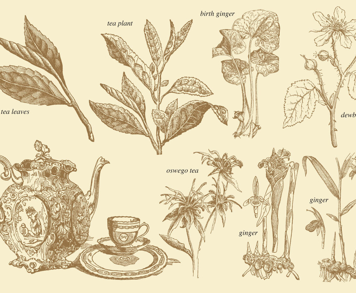 Old Style Tea Plants