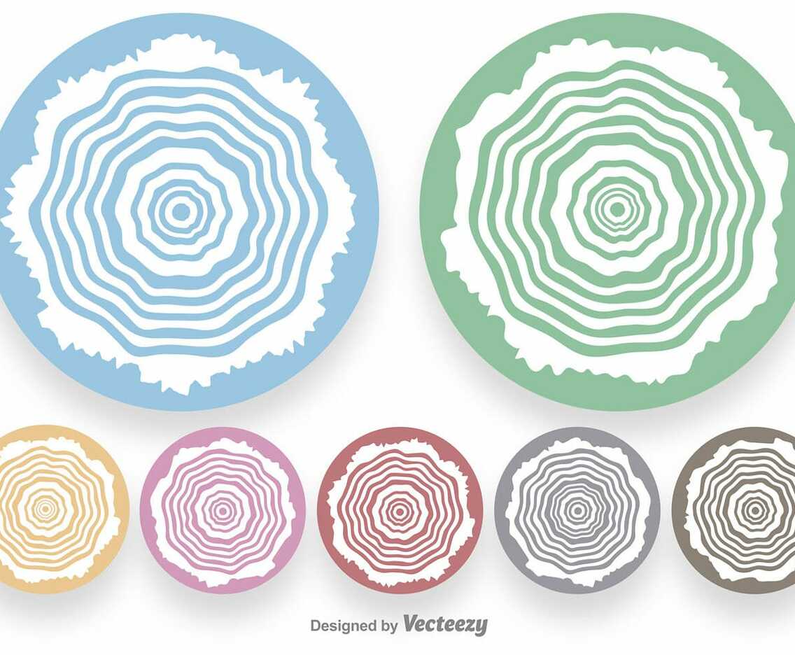 White Tree Rings Shapes