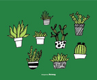 Hand Drawn Succulent Planter Vectors