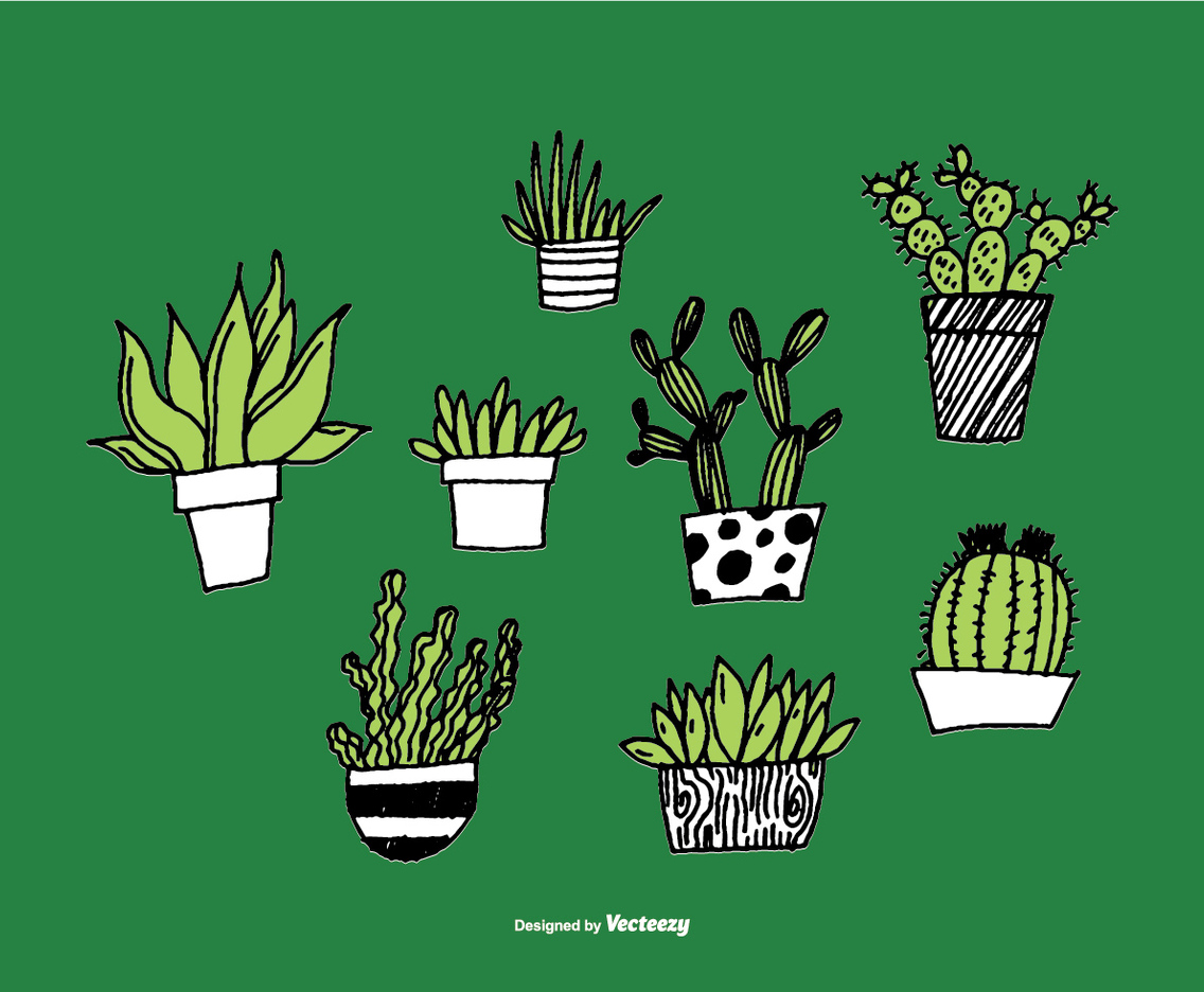 Hand Drawn Succulent Planter Vectors
