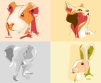 Animal Portrait Vectors