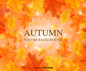 Fall Background Vector Leaves