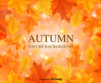 Fall Background Vector Leaves