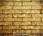 Cracked Brick Wall Vector Background