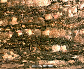 Aged Grunge Brown Background