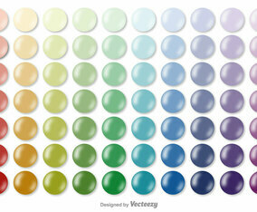 Vector Color Swatches Collection