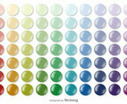Vector Color Swatches Collection