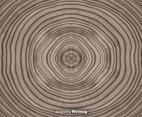 Vector Abstract Tree Rings Background