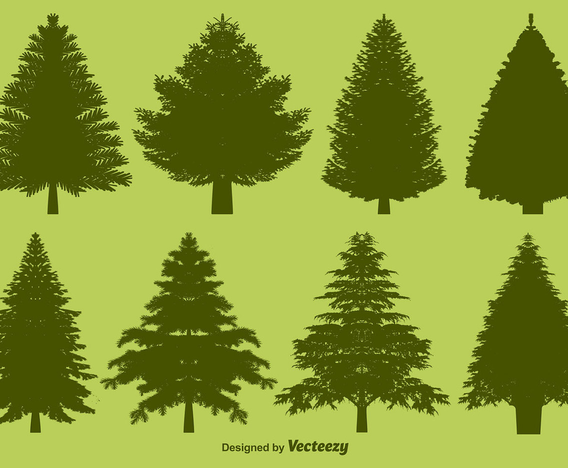 Vector Pine Silhouettes Set