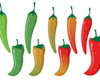 Red Hot Chili With Green Curved Stalk