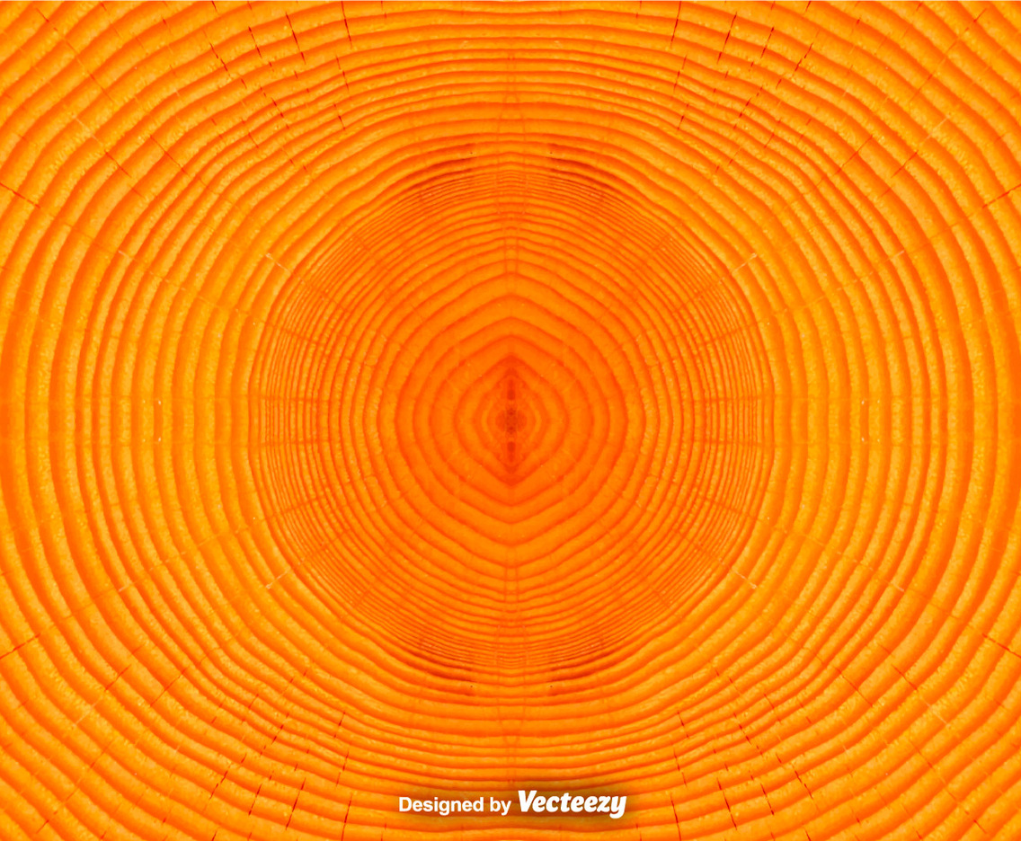 Tree Rings Background  Vector Tree Trunk Background