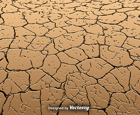 Vector Eroded Land Texture