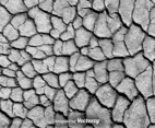 Vector Eroded Texture Cracked Background