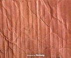 Vector Crumpled Cardboard Texture