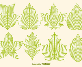 Vector Leaf Icons In Line Style