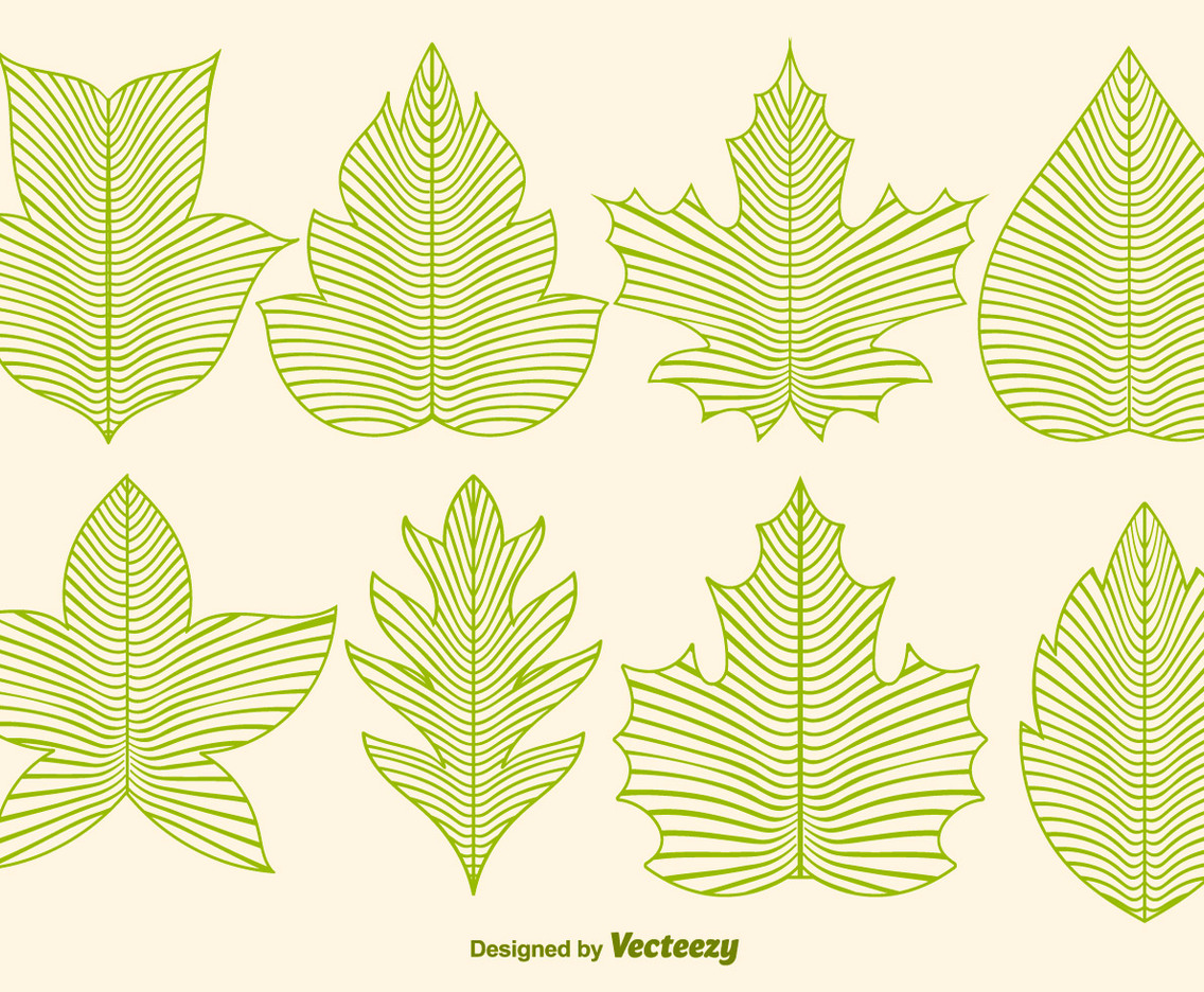 Vector Leaf Icons In Line Style