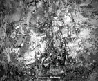 Vector Grunge Surface - Vector Texture