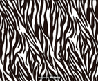 Zebra Stripes Vector Texture Background