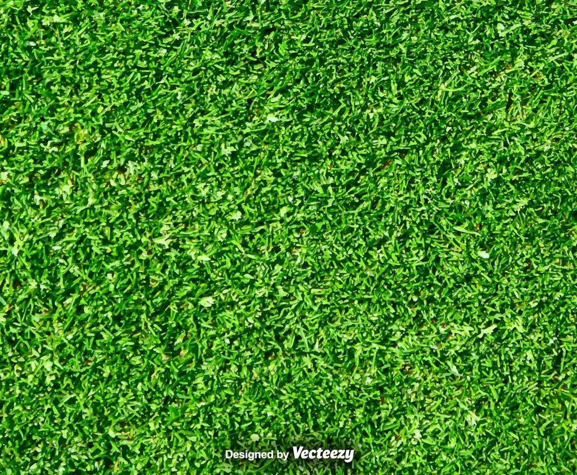 Lawn Nature - Green Grass Vector Background