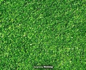 Lawn Nature - Green Grass Vector Background