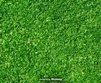 Lawn Nature - Green Grass Vector Background