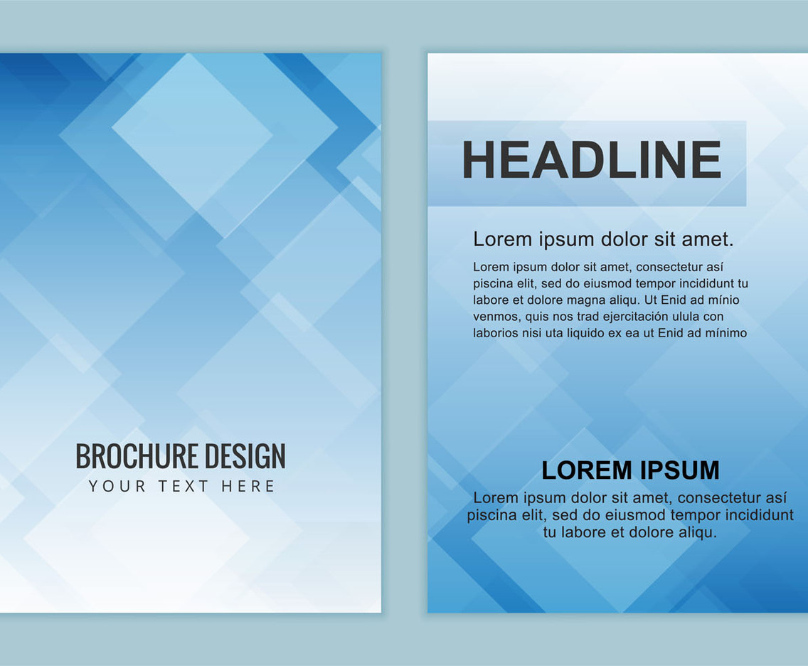 Free Vector Business brochure