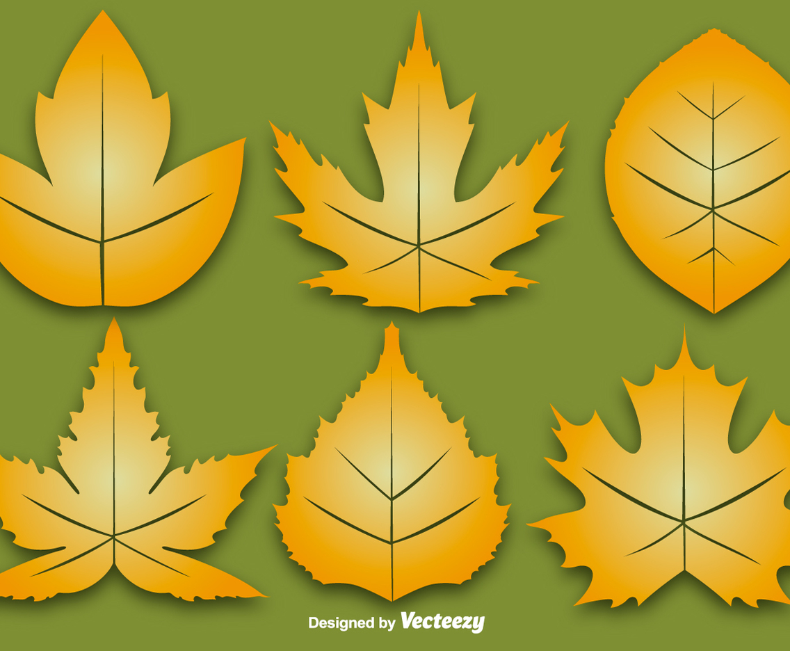 Vector Set Of Six Autumn Leaf