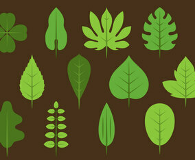 Green Leaves Icons