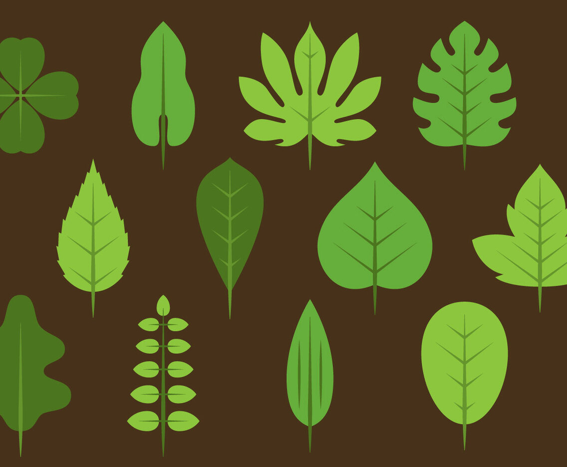 Green Leaves Icons