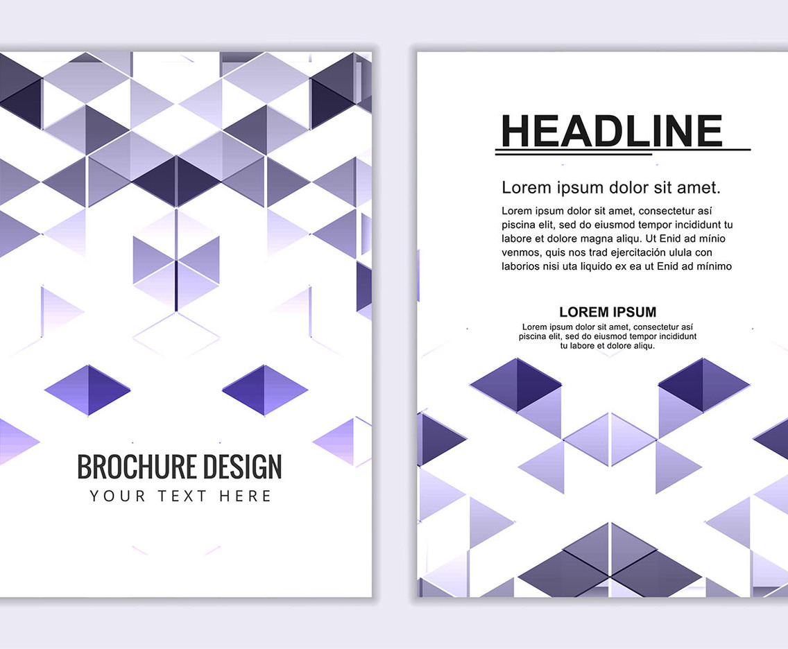 Free Vector Business Booklet