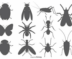 Insect Vector Shapes