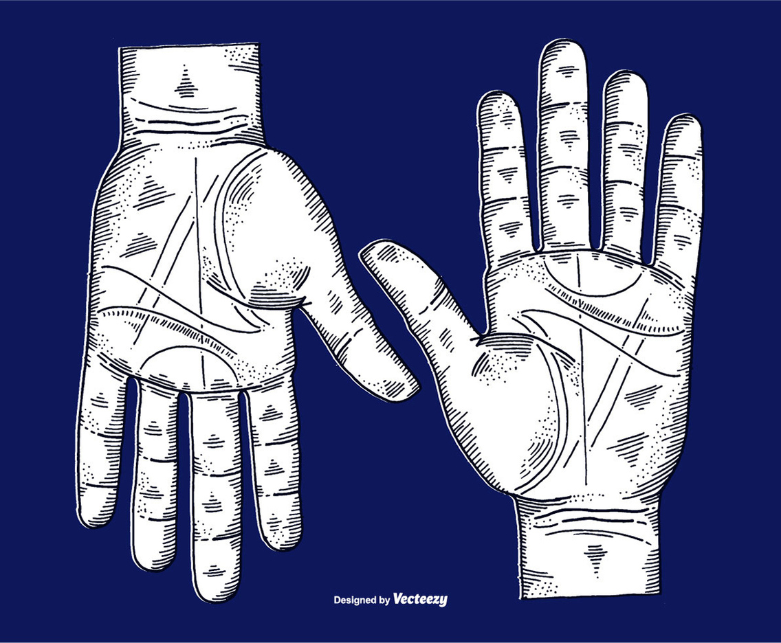 VECTOR ETCHED HANDS - LINE DRAWING