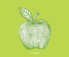 APPLE - LINE DRAWING
