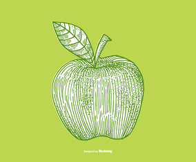 APPLE - LINE DRAWING