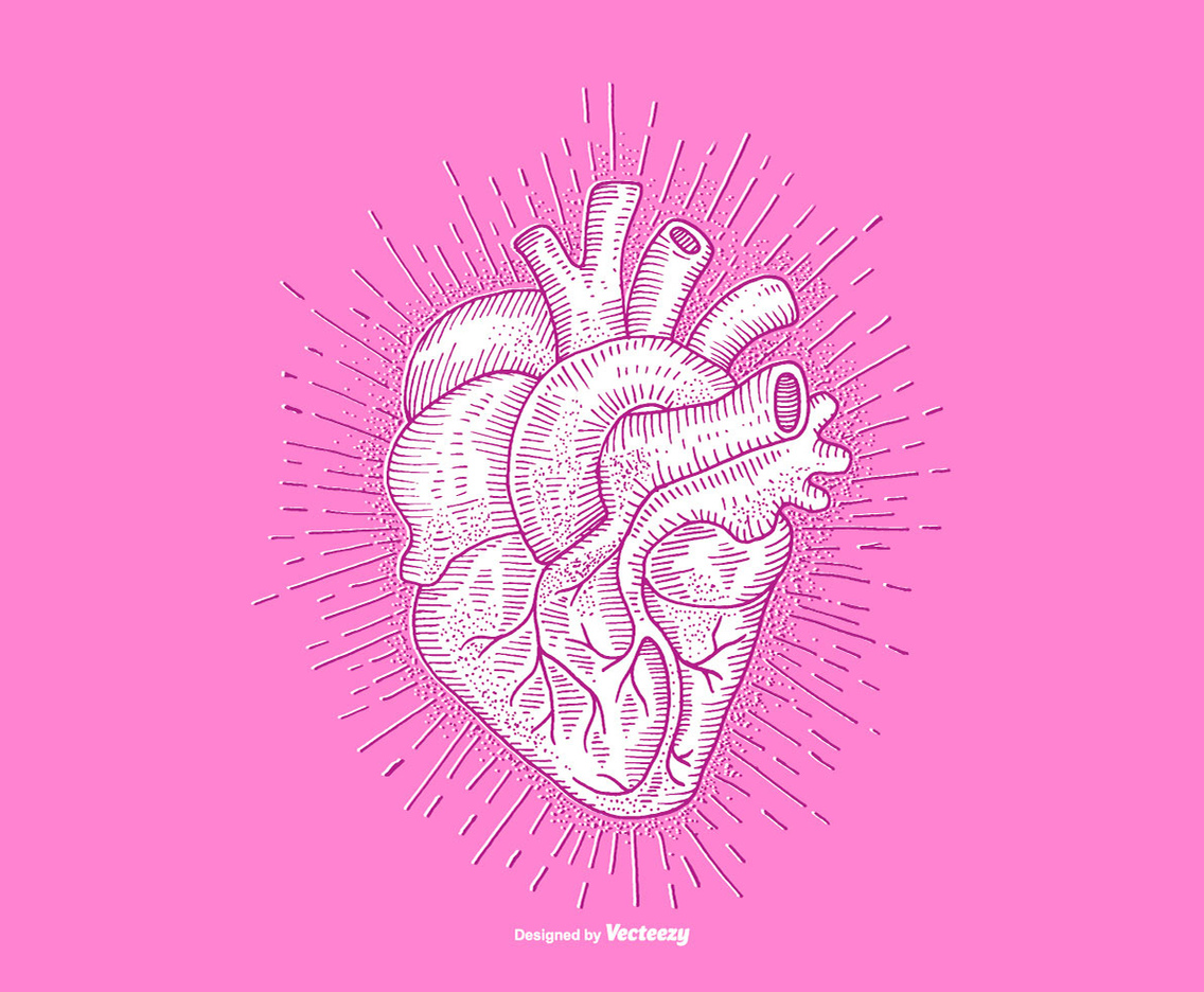 HEART - LINE DRAWING