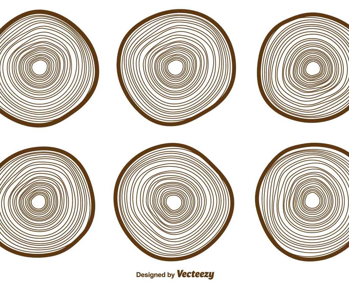 Vector Tree Rings Icons Collection