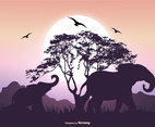 Elephant Silhouette Scene