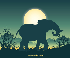 Elephant Silhouette Scene