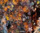 Rusty Grunge Background - Vector Grunge Texture
