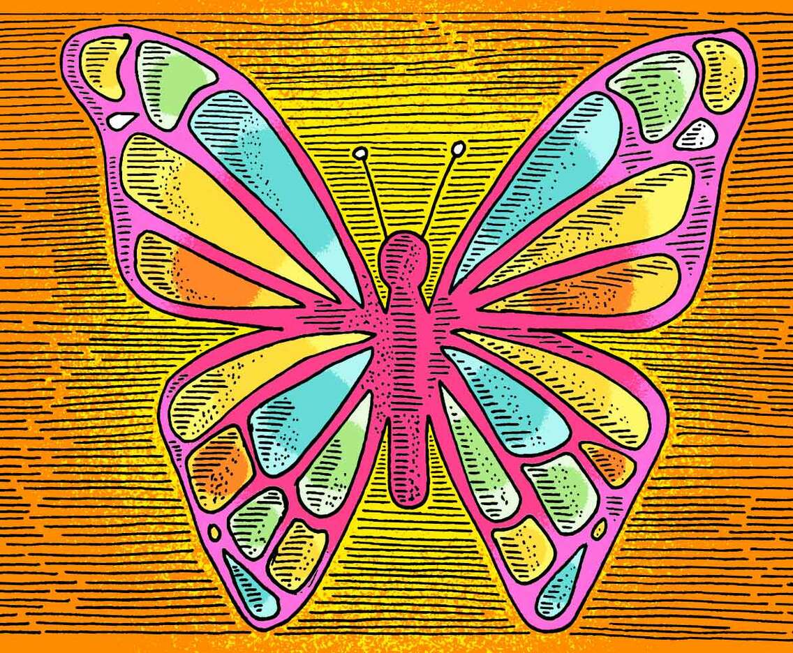Butterfly Line Drawing