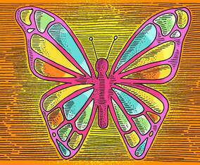 Butterfly Line Drawing