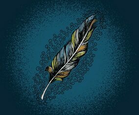 Feather Line Drawing