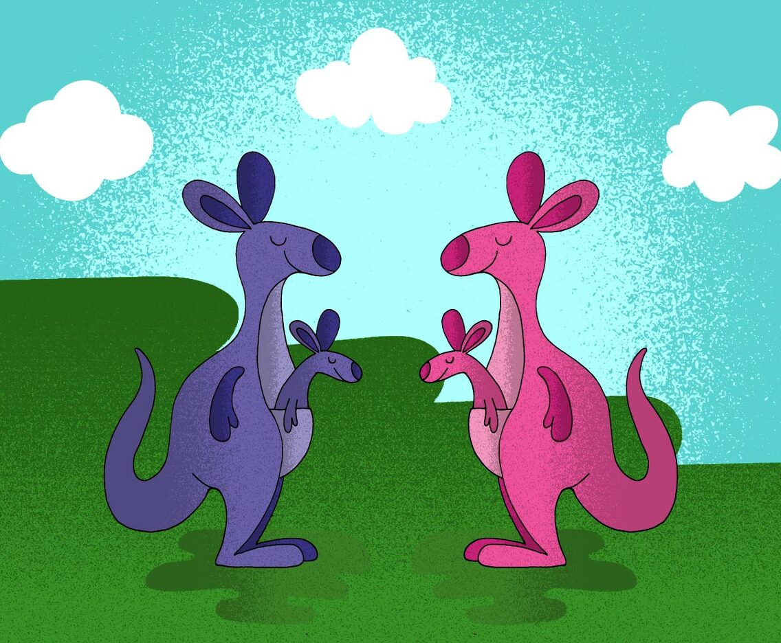 Happy Kangaroo Vector Animals