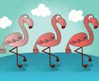Happy Flamingo Vectors