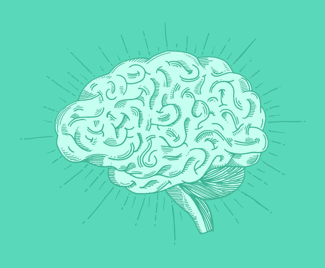 Bright Hand Drawn Brain Vector