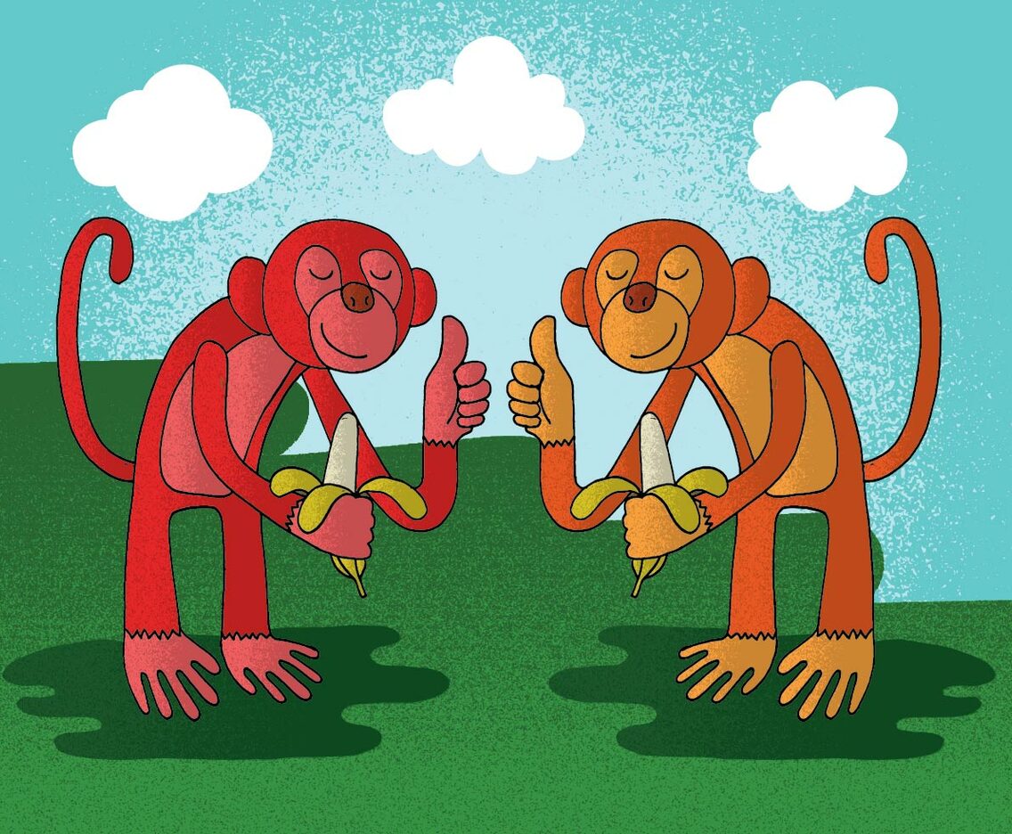 Monkey Banana Vector