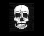Vector Hand Drawn Skull