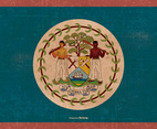 Grunge Flag of Belize