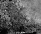 Vector Dirty Grunge Gray Wall Texture